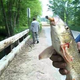 Smoke Coming Out of My Gills