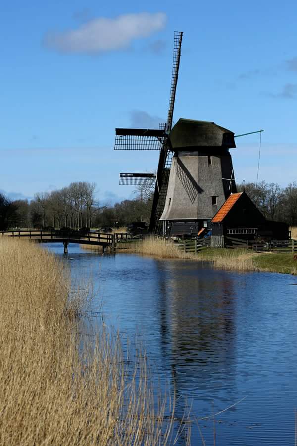 FB_IMG_1461506003130.jpg image